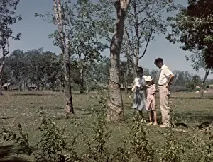 Rangoon Rubber Plantation - Rangoon