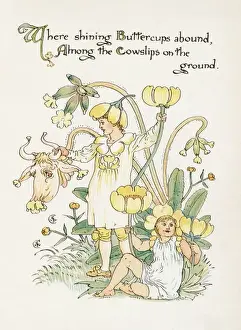 Ranunculus Bulbosus