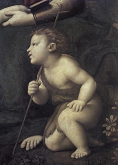 Jardiniere Gallery: Raphael (1483-1520). La Belle Jardiniere. 1507