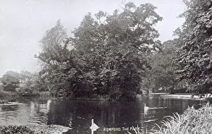 Shade Prints: Raphael Park Lake, Romford, London, England