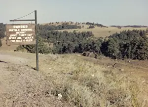 Drove Prints: Rapid City - South Dakota