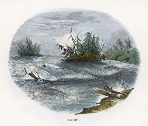 Rapids Prints: Rapids (Whimper)