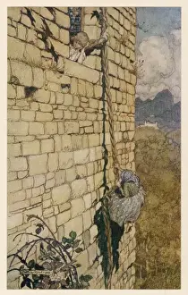 Rapunzel / Climbing Hair