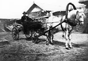 Rasputin Prints: Rasputin in Carriage