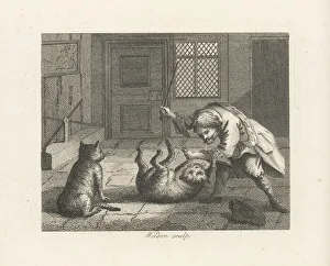 The Rat-Catcher and Cats