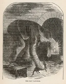 Ratcatcher in Sewer 1870