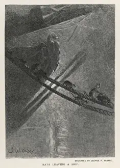 Rats Leaving Ship