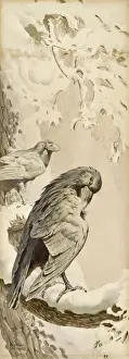 Sheppard Prints: Two Ravens on a snowy perch