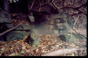Images Dated 7th September 2015: Ravenscroft (Cleddon Hall), cave in garden
