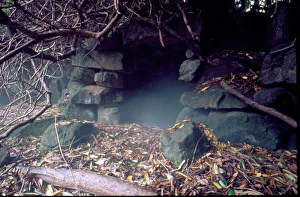 Images Dated 7th September 2015: Ravenscroft (Cleddon Hall), cave in garden
