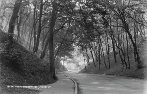 Filey Prints: The Ravine