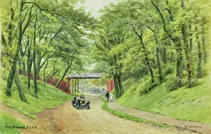 Filey Prints: The Ravine, Filey, North Yorkshire