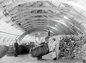 Sorted Prints: Raw wool being sorted at a woollen mill in Bradford