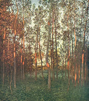 Populated Prints: The Last Rays