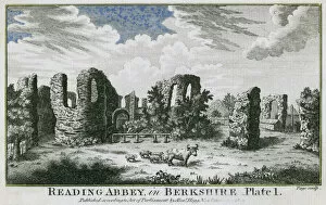 Ruined Collection: Reading Abbey, Berkshire