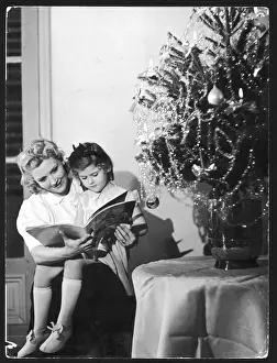 Reading under C mas Tree