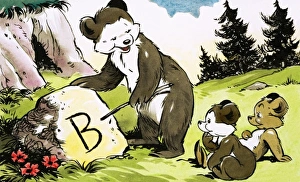 Images Dated 29th November 2007: Reading lesson for bears