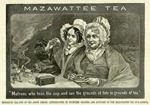 Graphic Collection: Reading the Tea Leaves, Mazawattee Tea Co, London