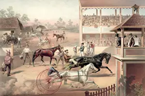 Ready for the trot: bring up your horse