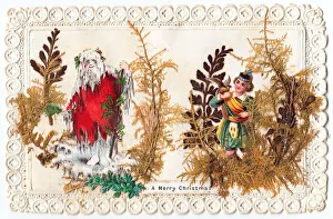 Images Dated 9th July 2018: Real leaves and ferns on a Christmas card