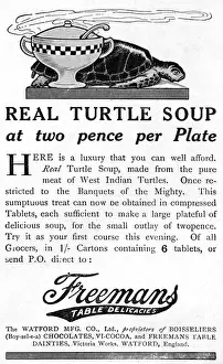 Turtles Prints: Real Turtle Soup