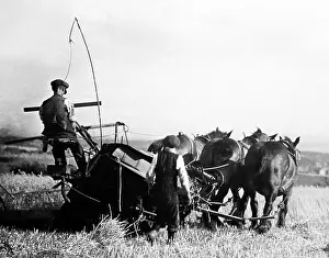 Reaping Prints: Reaping in 1926