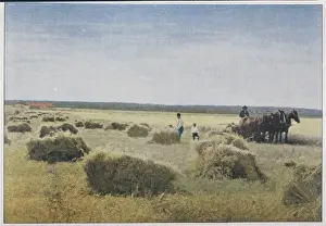 Manitoba Prints: Reaping, Canada