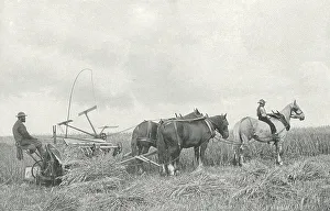 Reaping Machine