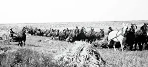 Reaping on the Prairies, Canada