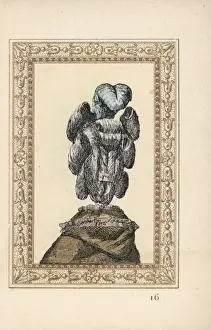 Chignon Prints: Rear view of womans chignon with curls