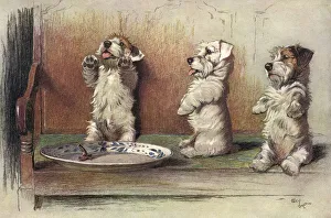 Images Dated 30th July 2015: For What We Are About to Receive by Cecil Aldin