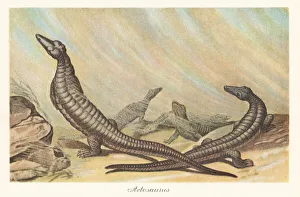 Pleistocene Prints: Reconstruction of Aetosaurus ferratus in a sand storm
