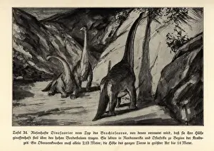 Leben Prints: Reconstruction of extinct giant dinosaur Brachisaurus