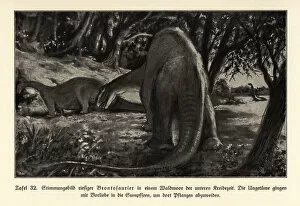 Reconstruction of giant Brontosaurs grazing