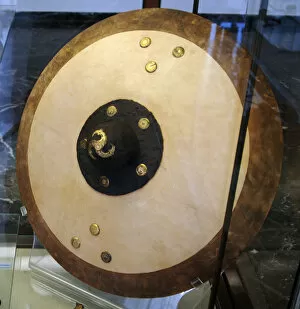 Images Dated 1st February 2009: Reconstruction of a medieval shield