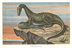 Predator Prints: Reconstruction of Protorosaurus speneri and Menaspis armata
