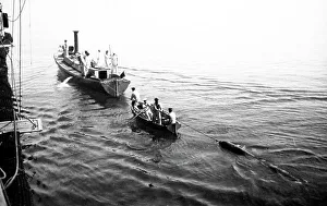 Whitehead Prints: recovering a Whitehead torpedo Royal Navy