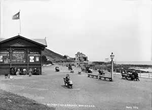 Swings Prints: Recreation Grounds, Whitehead