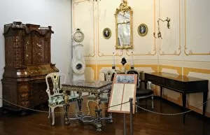 Rococo Collection: Recreation room. Decor and rococo furniture