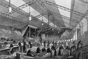 Images Dated 19th April 2018: RECYCLING RAGS
