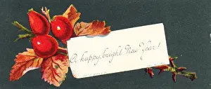 Red berries on a New Year card