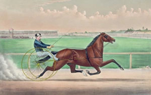 Pedigree Gallery: Red Cloud: by Legal Tender, He by Davy Crockett, (pacer) Dam