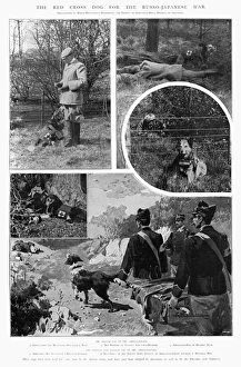 The Red Cross for the Russo-Japanese War The Red Cross for the Russo-Japanese War