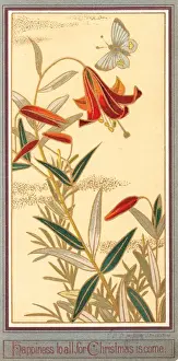 Red lilies and butterfly on a Christmas card
