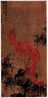 Hardy Prints: The Red Phoenix