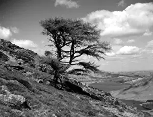 Red Pike Mountain, Crummock Water, Lake District, Cumbria