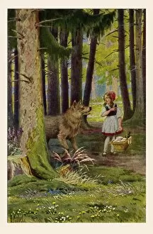 Images Dated 25th June 2012: Red Riding Hood