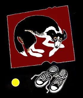 Trainers Prints: Red Rug and Trainers