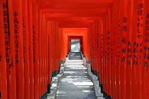 Tunnels Prints: Red Torii gates and steps Hie-Jinja Shrine, Tokyo, Japan