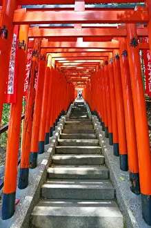 Red Torii gates and steps Hie-Jinja Shrine, Tokyo, Japan